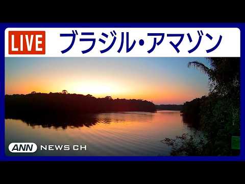 【LIVE】癒しの熱帯 アマゾンのジャングルから24時間配信　夜明けの空を横切るインコの群れ　夜の川に響くカエルと昆虫…