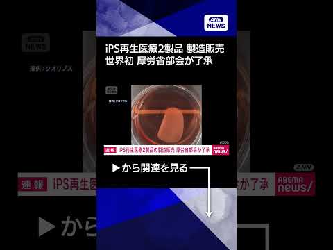 【ニュース】【速報】iPS細胞使った再生医療2製品　厚労省の専門部会が製造販売を了承　世界初へ shorts サムネイル