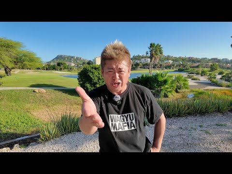 【正月これ観ろ】Netflix「ラヴ上等」が面白すぎた！ サムネイル