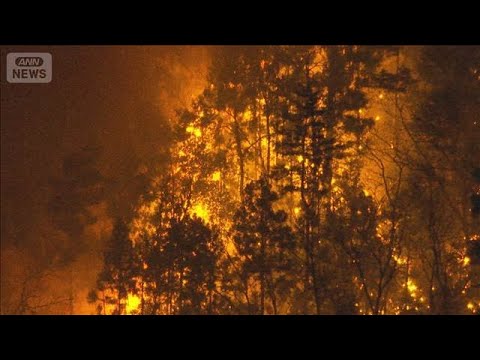 乾燥続き『林野火災注意報』発令中…火が住宅に迫る　山梨県は災害派遣要請【報道ステーション】(2026年1月8日) サムネイル