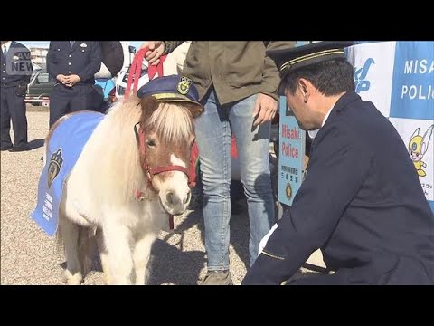 午年にちなみミニチュアホースが一日警察署長に　きょうは「110番の日」(2026年1月10日) サムネイル