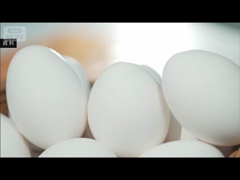 卵1パック306円　“最高値”12月から2円値下がりも6カ月連続で300円超え(2026年1月20日) サムネイル