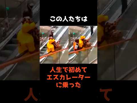 【人生初めてエスカレーターに乗る人たちの感想】 shorts 雑学 仰天 サムネイル