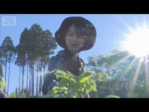 香りを楽しむ食用のバラ 「食香バラ」摘み取り体験　富山・射水市(2026年5月31日) サムネイル