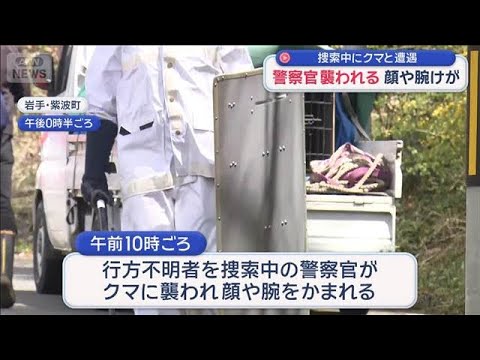 捜索中にクマと遭遇　岩手で警察官が襲われる　大都市でも…きょうも目撃【スーパーJチャンネル】(2026年4月21日) サムネイル