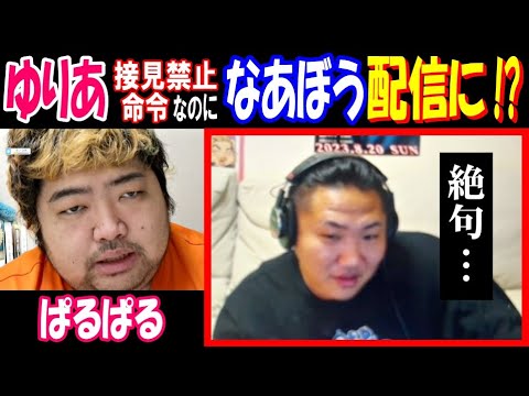 【ぱるぱる】【ゆりあ】接見禁止なのに【なあぼう】配信にあがる!? 絶句… サムネイル