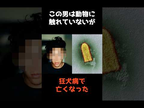 【動物に触れていないのに狂犬病になった男】 #shorts #事件解説 #雑学 サムネイル