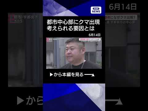 【ニュース】【独自検証】都市中心部にクマ出現の考えられる要因とは？東京も例外でない共通点shorts