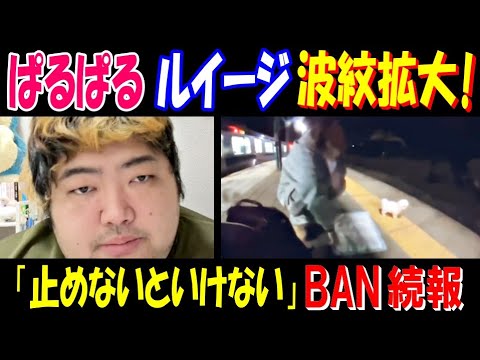 【ぱるぱる】【ルイージ】波紋拡大! 「止めないといけない」BAN続報 サムネイル