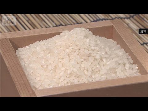 コメ平均価格は下落　2週連続3700円台　平均価格と銘柄米の差わずか60円ほどに(2026年5月15日) サムネイル