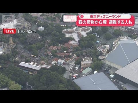 【最新】東京ディズニーランドで“荷物から煙”通報、全員避難｜モバイルバッテリー原因か（2026年8月30日）