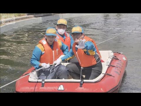 大規模水害を想定　警察が救助訓練　水害被害の甚大化受け　埼玉(2026年5月15日) サムネイル