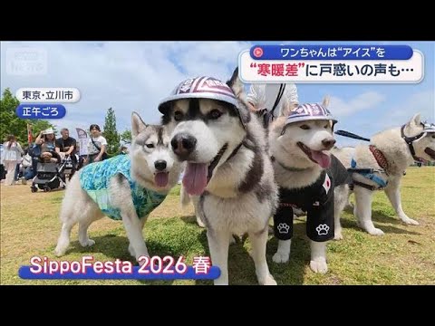 ワンちゃんは“アイス”を…“寒暖差”に戸惑いの声も【スーパーJチャンネル】(2026年5月24日) サムネイル