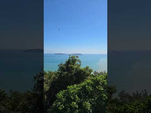 ライブ ハイライト サムネイル