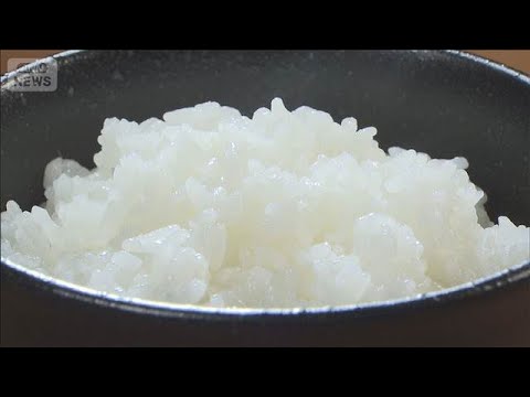 1月のコメ業者間取引数量 過去3番目の少なさ　相対取引価格3カ月連続下落も依然高水準(2026年2月17日)