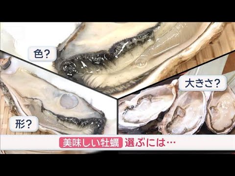 美味しいカキの見分け方　色？形？大きさ？ドコを見る？【スーパーJチャンネル】(2026年1月13日) サムネイル