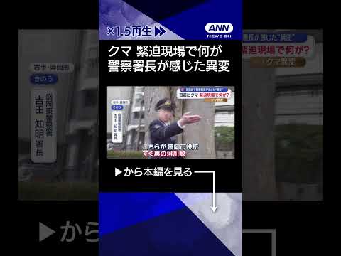 【ニュース】市街地にクマ　前線指揮の警察署長が感じた“異変”shorts サムネイル