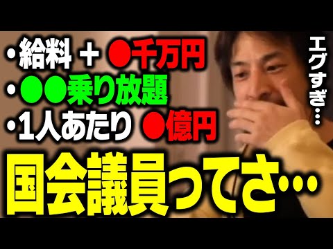 政治家の特権、もう全部言うわ…。何もしない議員でもこれだけのお金が手に入ります【ひろゆき】 サムネイル