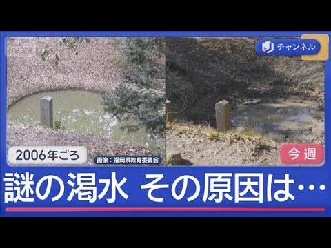 “伝説の池”枯らした犯人はイノシシ！？【スーパーJチャンネル】(2026年1月16日) サムネイル