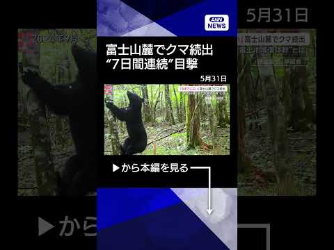 【ニュース】富士山麓でクマ続出“今までにない事態”独自コミュニティ形成「富士地域個体群」とは【サタデーステーション】(… サムネイル