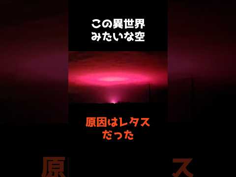 【異世界のようなピンクの空の正体】 shorts 事件 雑学 サムネイル
