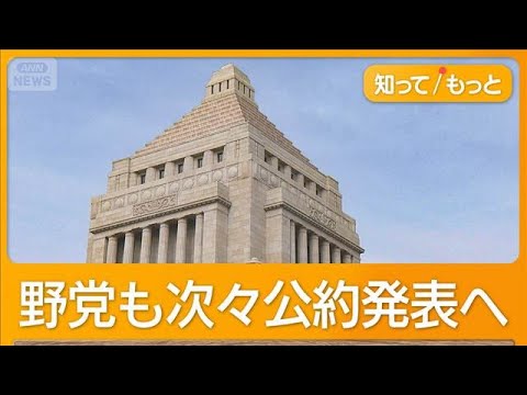 短期決戦の衆院選　野党も公約発表へ　「独身税」廃止や消費減税、外国人政策で主張も【もっと知りたい！】【グッド！モーニン… サムネイル
