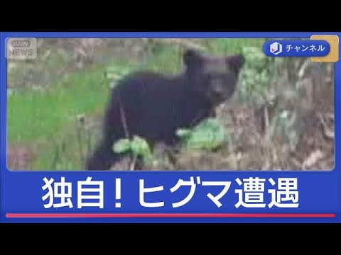 取材中ヒグマと遭遇…ゴールデンウィークどこに出る？【スーパーJチャンネル】(2026年4月30日) サムネイル