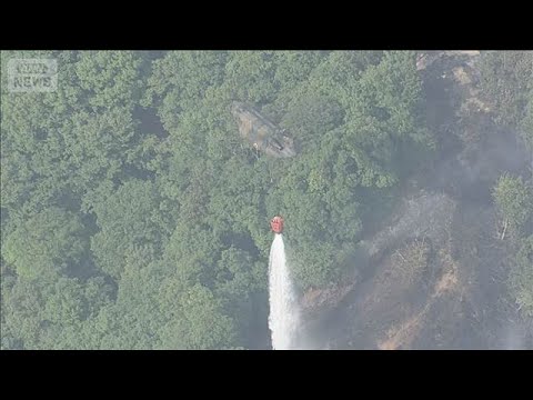 津市の山林火災　20日夕方に鎮圧 発生から約27時間後(2026年5月20日) サムネイル