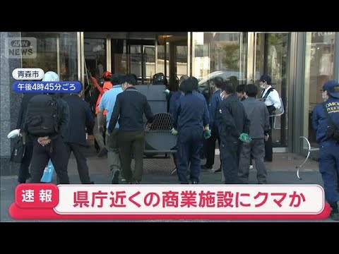 【速報】県庁近くの商業施設にクマか　青森【スーパーJチャンネル】(2026年5月15日) サムネイル
