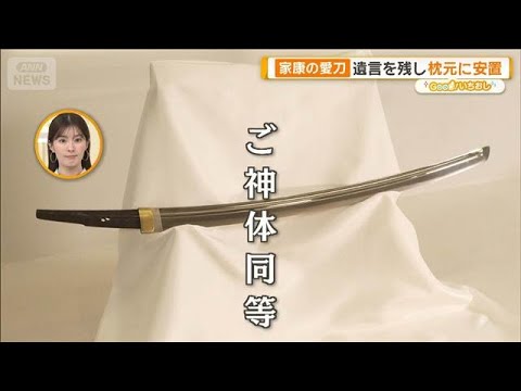 家康眠る神社 貴重宝物“伝説の刀剣”豊臣家滅ぼした？火縄銃も【グッド！いちおし】【グッド！モーニング】(2026年1月… サムネイル