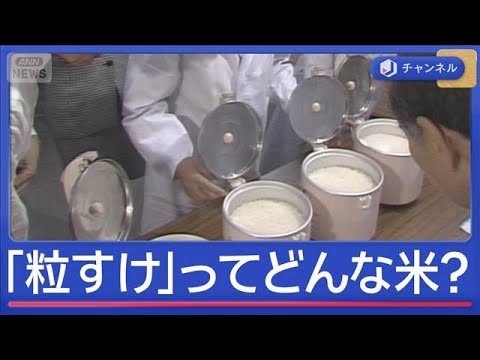 最高級“特A”のコメでお得なものは？【スーパーJチャンネル】(2026年3月4日) サムネイル