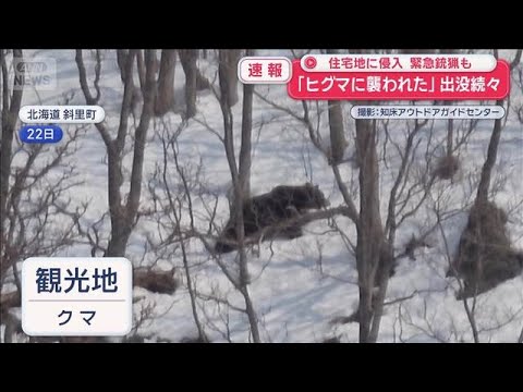 クマ猟師“丸腰状態で7年”駆除に「違法」最高裁判断は？【スーパーJチャンネル】(2026年3月27日) サムネイル