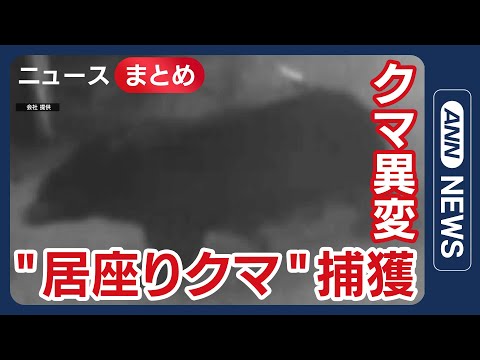 【クマ被害】市場に“居座り”クマを捕獲/“クマ捕獲の最前線”猟友会が感じた異変 なぜ「柿の木」に執着する？/など【ニュ… サムネイル