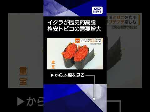 【ニュース】イクラが歴史的高騰　格安トビコに注目集まる　プチプチ感は海外でも人気、輸出5倍に shorts