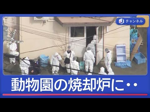 旭山動物園の焼却炉に妻の遺体遺棄か 警察“厳戒態勢の理由”【スーパーJチャンネル】(2026年4月24日) サムネイル