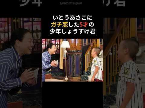 【注目】年越しの初恋5才で始まったいとうあさこへの一途な想いshorts 芸能人 芸能 サムネイル