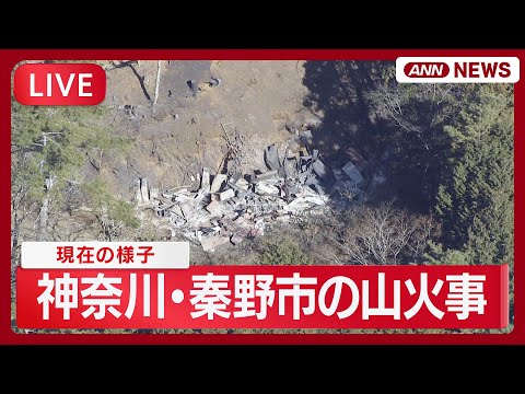 【ライブ】神奈川・秦野市の山火事  現在の様子【LIVE】(2026年1月12日) ANN/テレ朝 サムネイル