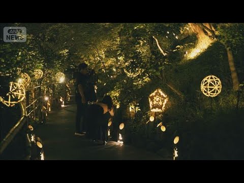 都心の夜に舞う 幻想的なホタルの光　東京・文京区 ホテル椿山荘東京(2026年6月16日) サムネイル