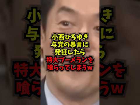 【爆笑】小西ひろゆき与党の暴言に発狂し特大ブーメランを喰らってしまうｗ小西洋之 立憲民主党 国会 ブーメラン shor…