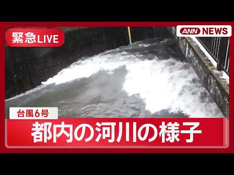 【緊急ライブ】台風6号 都内の河川状況 中野区と杉並区を流れる善福寺川・野川・仙川に｢レベル4氾濫危険警報｣【LIVE…