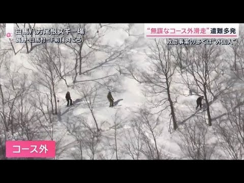 寒波再来 “道路”から見えた深刻な影響　各地で“無謀スキー”遭難も相次ぐ【サタデーステーション】(2026年1月31日) サムネイル