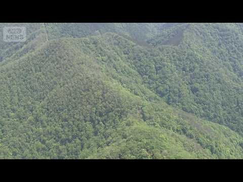 【現地空撮】山中で遺体発見　クマなどに襲われた可能性　東京・奥多摩町(2026年5月19日) ANN/テレ朝 LIVE