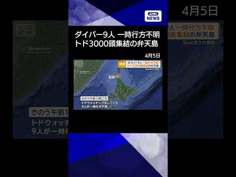 【ニュース】トドウォッチングのダイバー9人が一時行方不明　北海道・弁天島付近　5キロ先で救助 shorts サムネイル