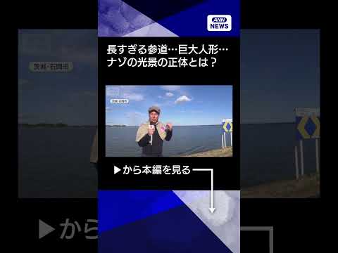 【ニュース】体長約2mの巨大な人形…伝説に隠された正体は　“2駅分”長すぎる参道…家康が関与？ shorts サムネイル