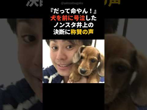 【注目】『だって命やん！』犬を前に号泣したノンスタ井上の決断#shorts #芸能人 #芸能 サムネイル
