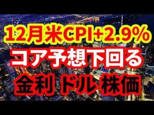 【米国経済】12月米消費者物価指数+2.9％！コア指数予想下回る！ドル安・金利低下 -芸能ニュース/炎上まとめ