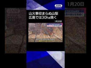 【ニュース】相次ぐ山火事 山梨中部は延焼続く　広島・江田島市で約30ha焼失 #shorts -芸能ニュース/炎上まとめ