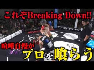 喧嘩ファイトでプロを圧倒！咲季vs清太郎/試合映像【BreakingDown14.5】【公式】BreakingDown / ブレイキングダウン