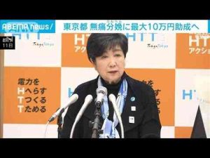 東京都が無痛分娩で10月から最大10万円助成へ　来年度予算案で11億円を計上(2025年1月11日) -芸能ニュース/炎上まとめ