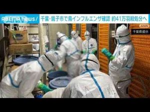 千葉・銚子市の養鶏場で高病原性鳥インフルエンザ確認　約41万羽を殺処分へ(2025年1月12日) -芸能ニュース/炎上まとめ